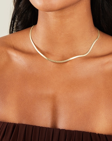 Accessorize  Omega Chain Necklace