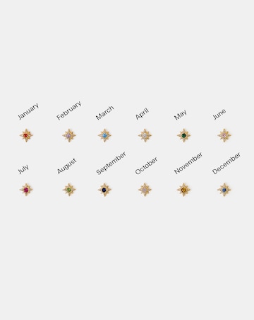 Accessorize Birthstone Celestial Earring