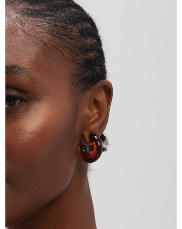 Mood Gold Plated Brown Resin Hoop Earrings
