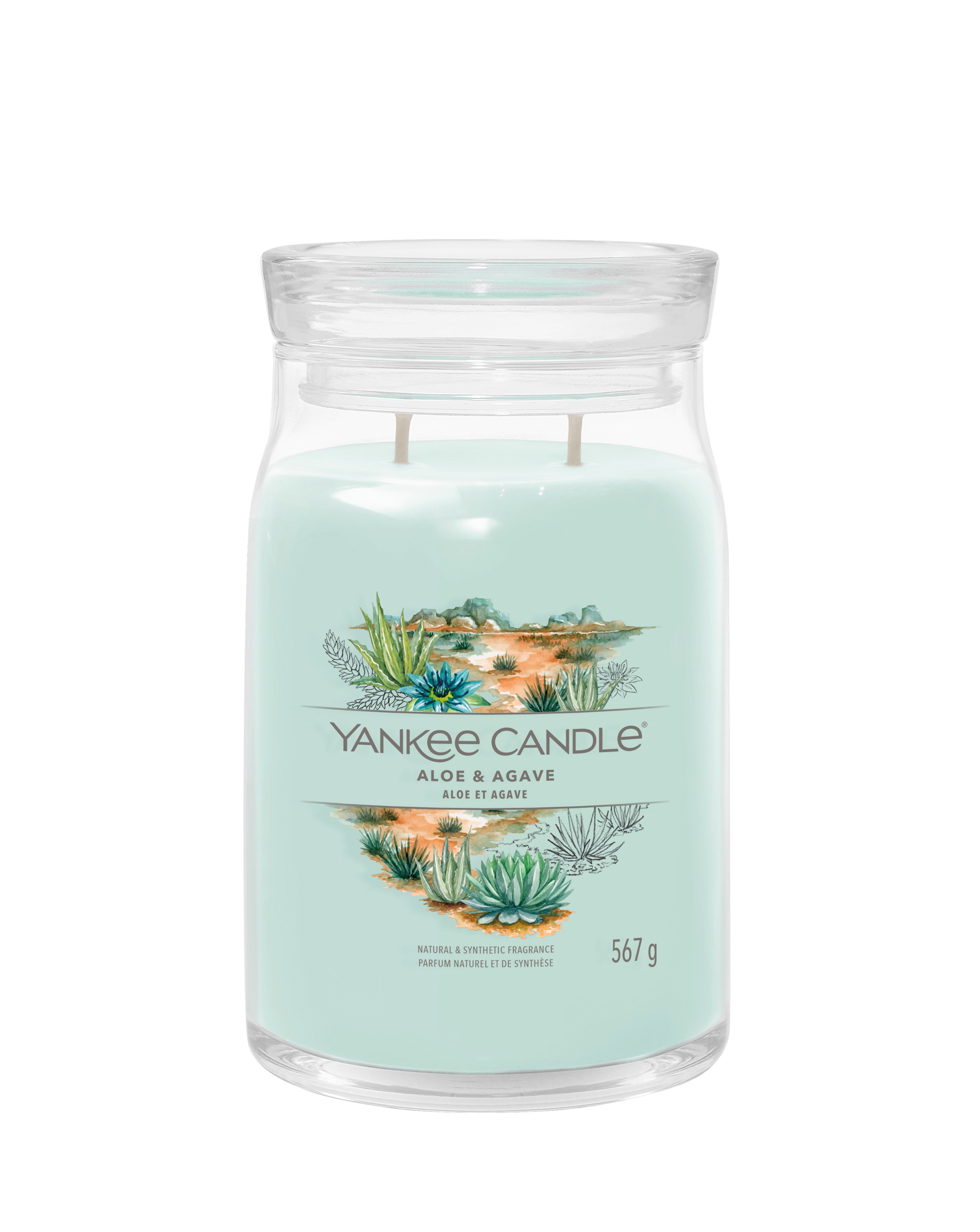 Yankee Candle Large Aloe & Agave