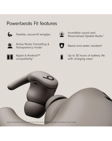 Beats Powerbeats Fit Wireless Workout Earbuds - Gravel Grey