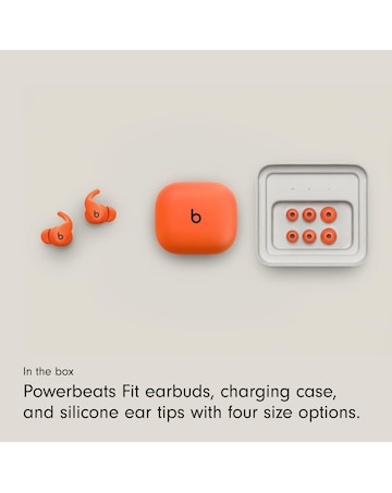 Beats Powerbeats Fit Wireless Workout Earbuds - Gravel Grey